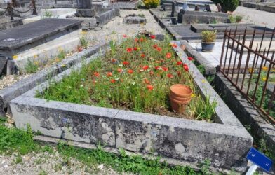 Cimetière – les concessions