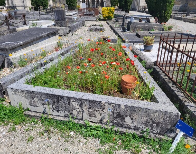 Une tombe fleurie avec des coquelicots